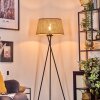 Barcos Golvlampa Beige, Naturfärger, 1-ljuskällor