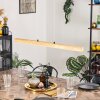 Carbellino LED Naturfärger, Svart, 1-ljuskällor