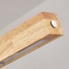 Carbellino LED Naturfärger, Svart, 1-ljuskällor