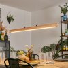 Carbellino Pendelbelysning LED Naturfärger, Svart, 1-ljuskällor