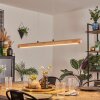 Carbellino Pendelbelysning LED Naturfärger, Svart, 1-ljuskällor