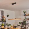 Carbellino Pendelbelysning LED Naturfärger, Svart, 1-ljuskällor