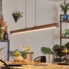 Carbellino Pendelbelysning LED Vit, 1-ljuskällor