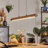 Carbellino Pendelbelysning LED Vit, 1-ljuskällor