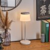 Algeraz Bordslampa utomhus, Bordslampa LED Vit, 1-ljuskällor