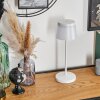 Algeraz Bordslampa utomhus, Bordslampa Vit, 1-ljuskällor