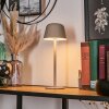 Asen Bordslampa utomhus, Bordslampa LED Beige, 1-ljuskällor