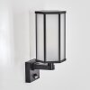 Monfanim vägglampa utomhus Svart, 1-ljuskällor