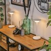 Baigorrita Bordslampa utomhus, Bordslampa LED Vit, 1-ljuskällor