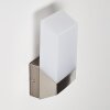 Clear vägglampa utomhus, Vägglampa LED Nickel matt, 1-ljuskällor