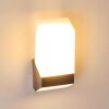 Clear vägglampa utomhus, Vägglampa LED Nickel matt, 1-ljuskällor