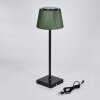 Longchamps Bordslampa utomhus, Bordslampa LED Brun, Grön, 1-ljuskällor