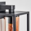 Trancozelos vägglampa utomhus Svart, 1-ljuskällor