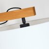 Bassagoda Golvlampa Naturfärger, Svart, 1-ljuskällor
