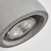 Lomma Vägglampa, Väggspotlight Stål borstat, 1-ljuskällor