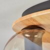 Koyoto Taklampa, kullampa Naturfärger, Svart, 3-ljuskällor