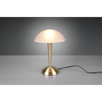 Reality Bordslampa Mässing, 1-ljuskällor Reality Bordslampa Mässing, 1-ljuskällor