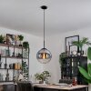 Gastor Pendellampa, kullampa Klart, Rökfärger, 1-ljuskällor