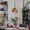 Gastor Pendellampa, kullampa 20 cm Guld, Klart, 1-ljuskällor