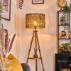 Cando Golvlampa Naturfärger, 1-ljuskällor