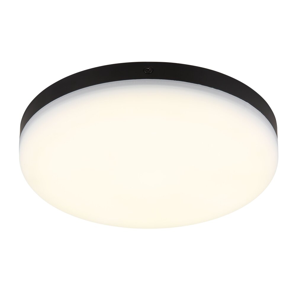 Globo Matthew Taklampa LED Svart, 1-ljuskällor main product photo