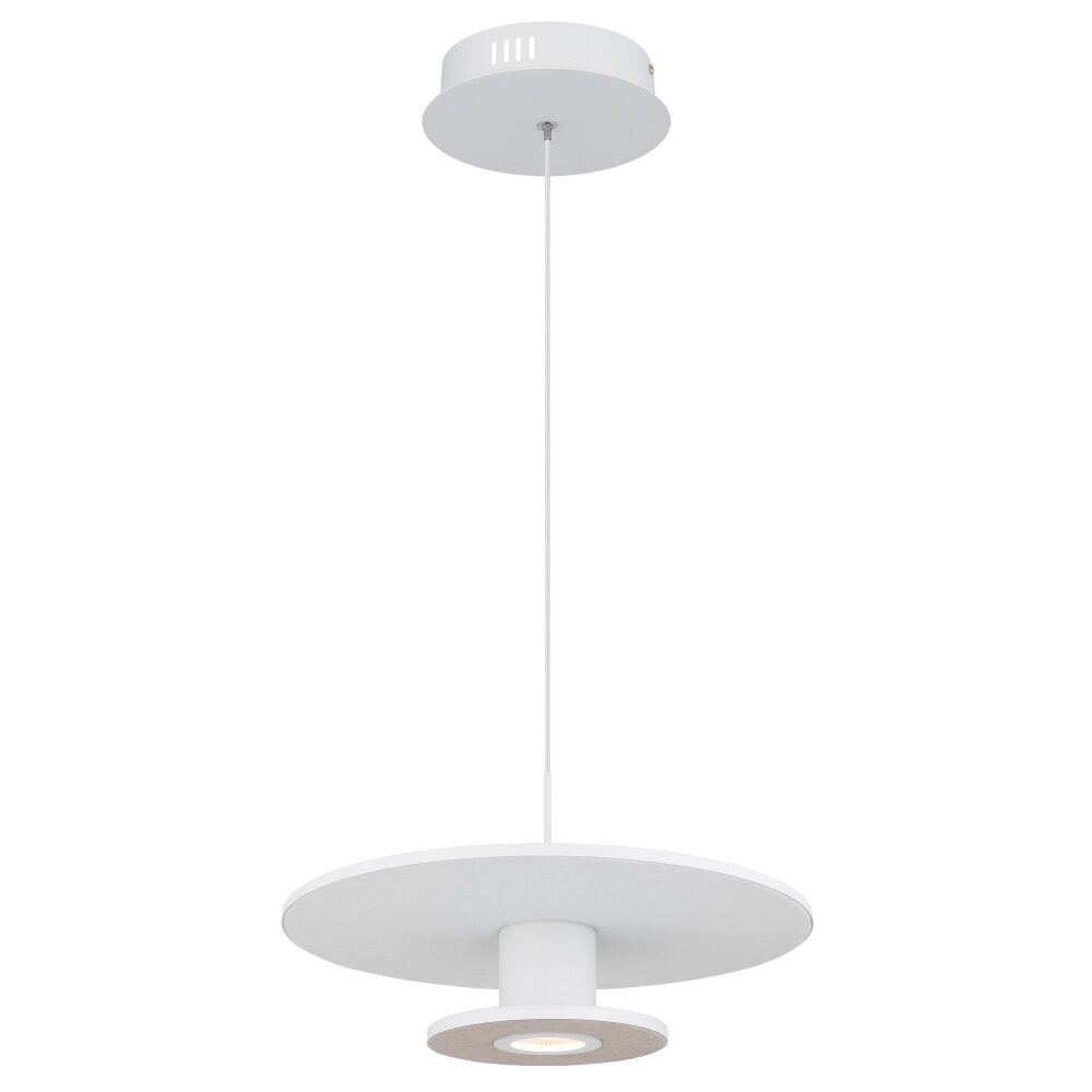 Globo Carter Pendellampa LED Vit, 1-ljuskällor main product photo