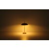 Globo Brenlor Bordslampa Mässing, 2-ljuskällor