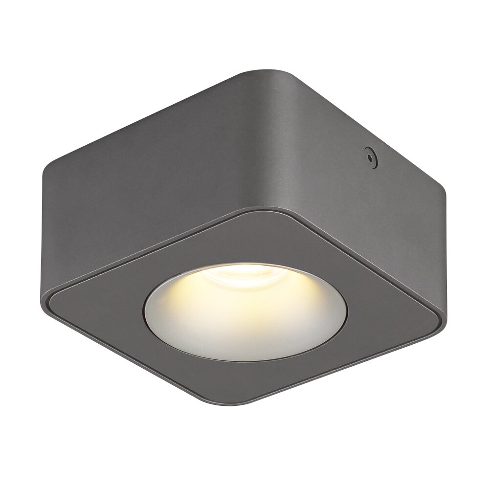 Globo Hangarau Taklampa LED Grått, 1-ljuskällor main product photo