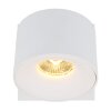 Globo Rae Taklampa LED Vit, 1-ljuskällor