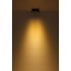 Globo Rae Taklampa LED Svart, 2-ljuskällor
