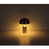 Svamplampa  Globo Atoma Bordslampa Nickel matt, 2-ljuskällor