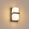 Antua vägglampa utomhus, Up & Down Lampa Antracit, 1-ljuskällor