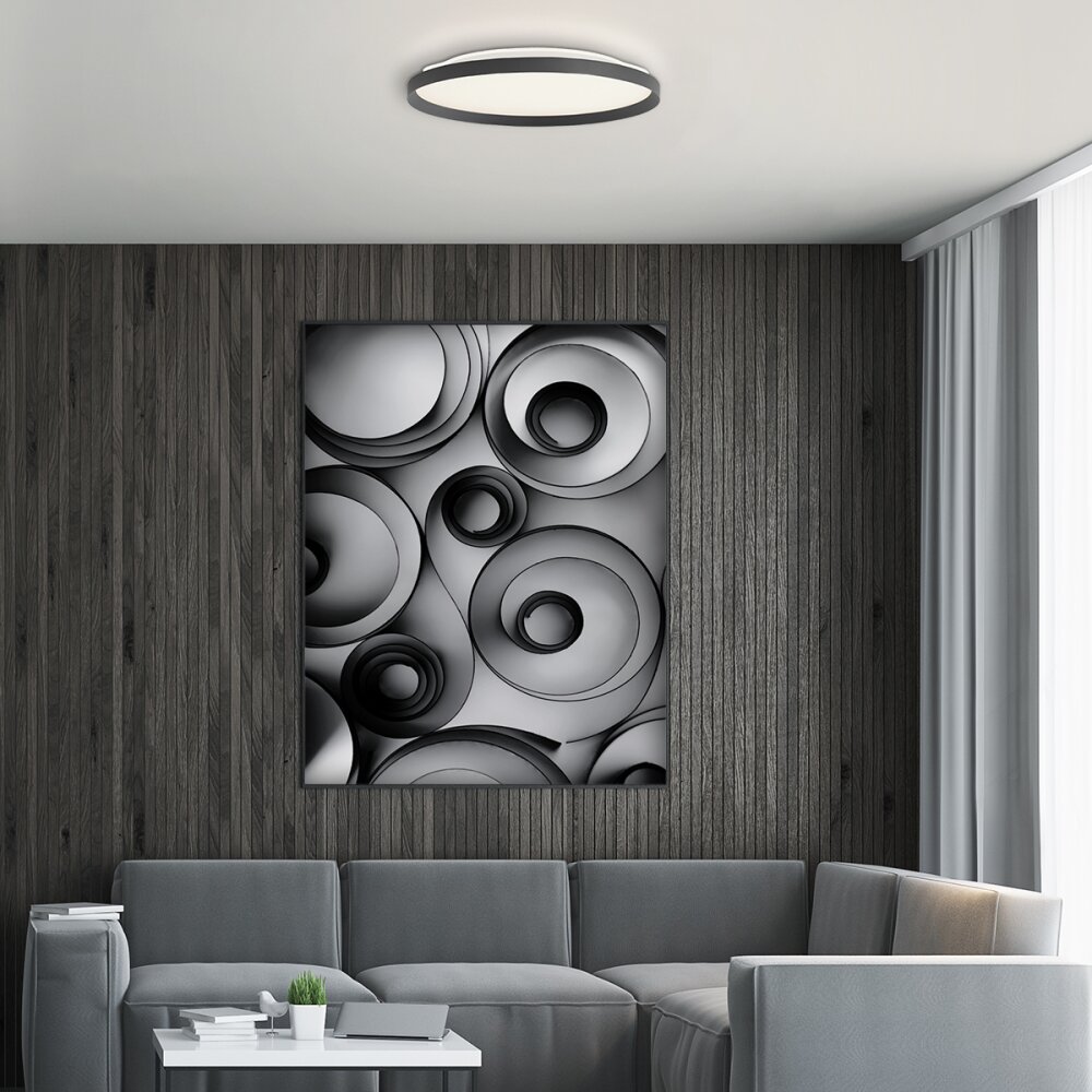 Steinhauer Flady Taklampa LED Svart, 2-ljuskällor main product photo