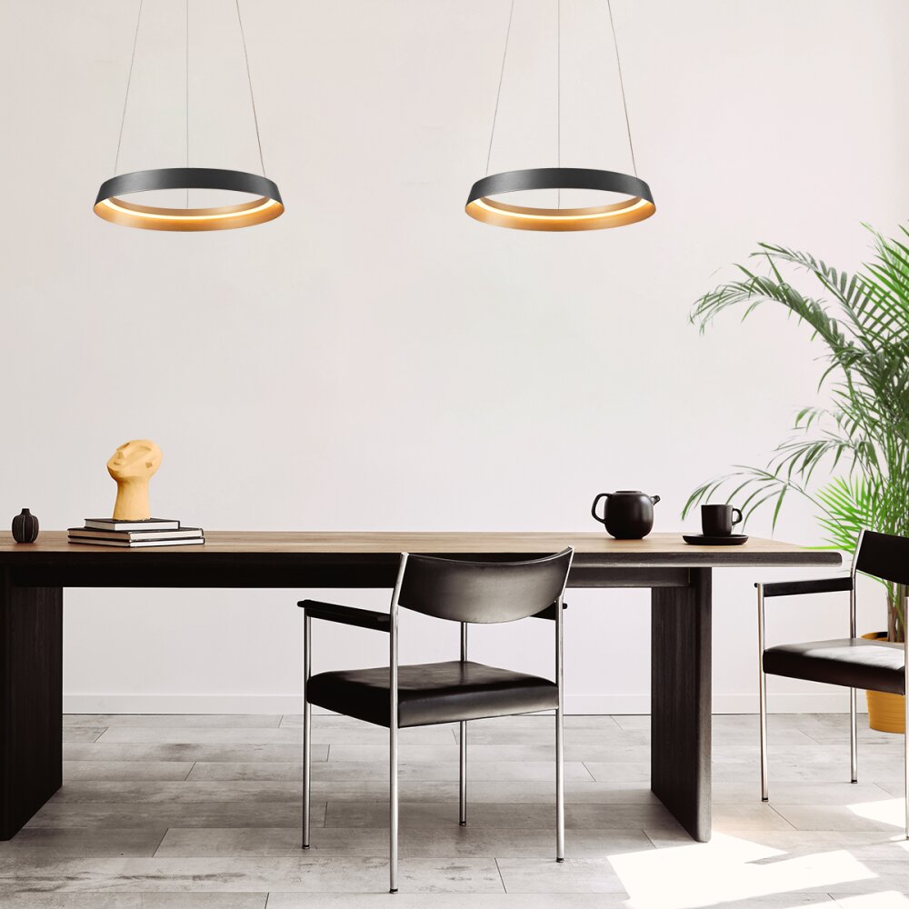 Steinhauer Ringlux Pendelbelysning LED Svart, 1-ljuskällor main product photo