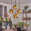 Ripoll Pendellampa, kullampa, Pendelbelysning Guld, Klart, 4-ljuskällor
