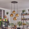 Ripoll Pendellampa, kullampa, Pendelbelysning Guld, Klart, 4-ljuskällor