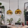Gastor Pendellampa, kullampa, Pendelbelysning Guld, Klart, 2-ljuskällor