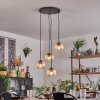 Koyoto Pendellampa, kullampa, Pendelbelysning Amber, Klart, 4-ljuskällor