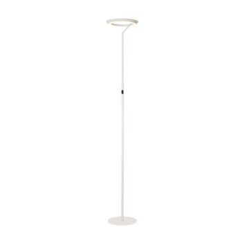 Lucide CELESTE Golvlampa LED Vit, 1-ljuskällor