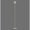 Leuchten Direkt EURIA Golvlampa LED Grön, 1-ljuskällor