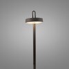 Leuchten Direkt AMAG Golvlampa LED Svart, 1-ljuskällor