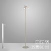 Leuchten Direkt AMAG Golvlampa LED Grått, 1-ljuskällor