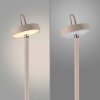 Leuchten Direkt AMAG Golvlampa LED Grått, 1-ljuskällor