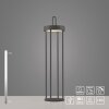Leuchten Direkt ANSELM Golvlampa LED Svart, 1-ljuskällor