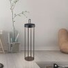 Leuchten Direkt ANSELM Golvlampa LED Svart, 1-ljuskällor