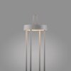 Leuchten Direkt ANSELM Golvlampa LED Grått, 1-ljuskällor