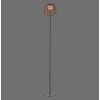 Leuchten Direkt ASKIA Golvlampa LED Svart, 1-ljuskällor