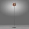 Leuchten Direkt ASKIA Golvlampa LED Svart, 1-ljuskällor