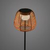 Leuchten Direkt ASKIA Golvlampa LED Svart, 1-ljuskällor