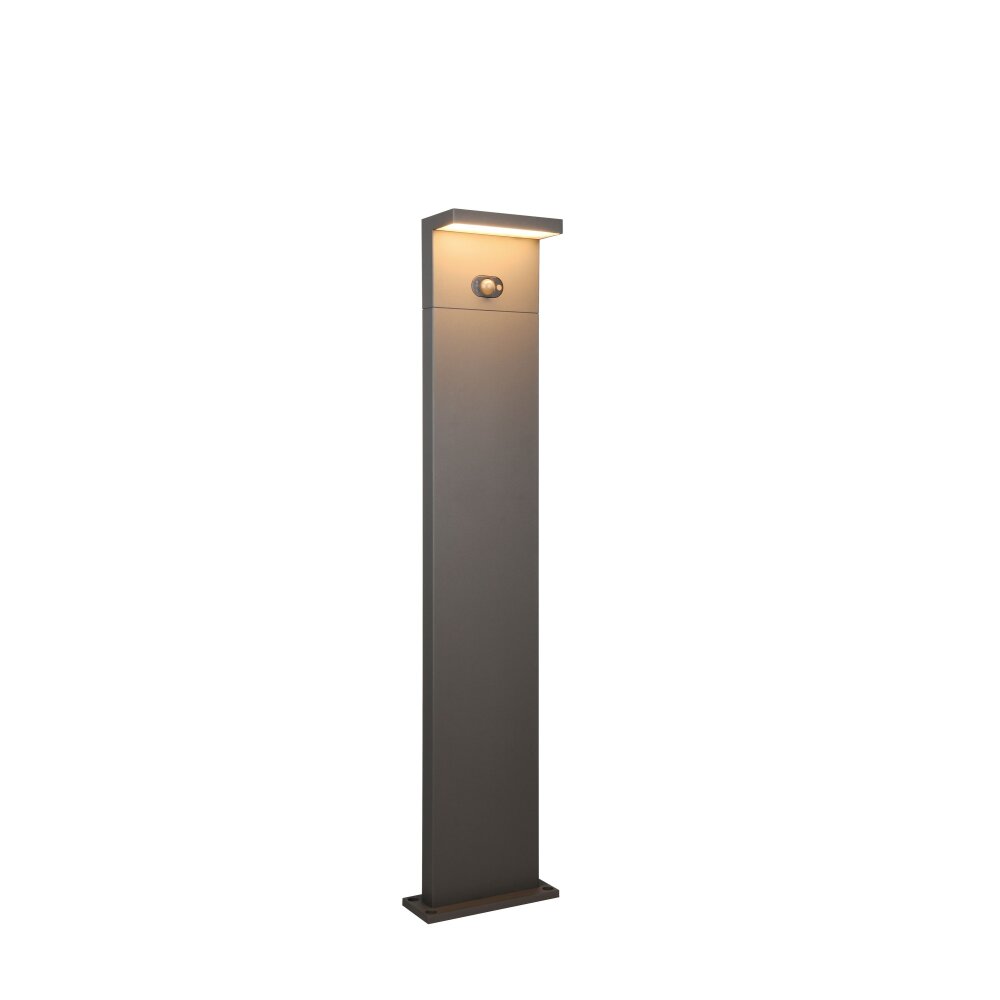 Trio Blyde Golvlampa utomhus LED Antracit, 1-ljuskällor, Rörelsedetektor main product photo